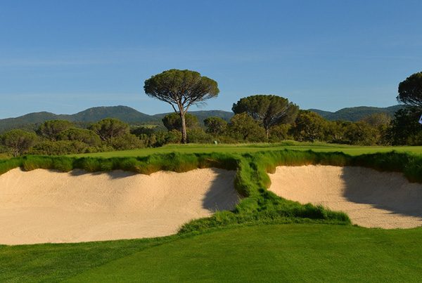 Turfgrass® EIGCA Bronze Partner is celebrating 25 years in the golf course industry and decided to look back at the drivers and the “game changers” for the future!