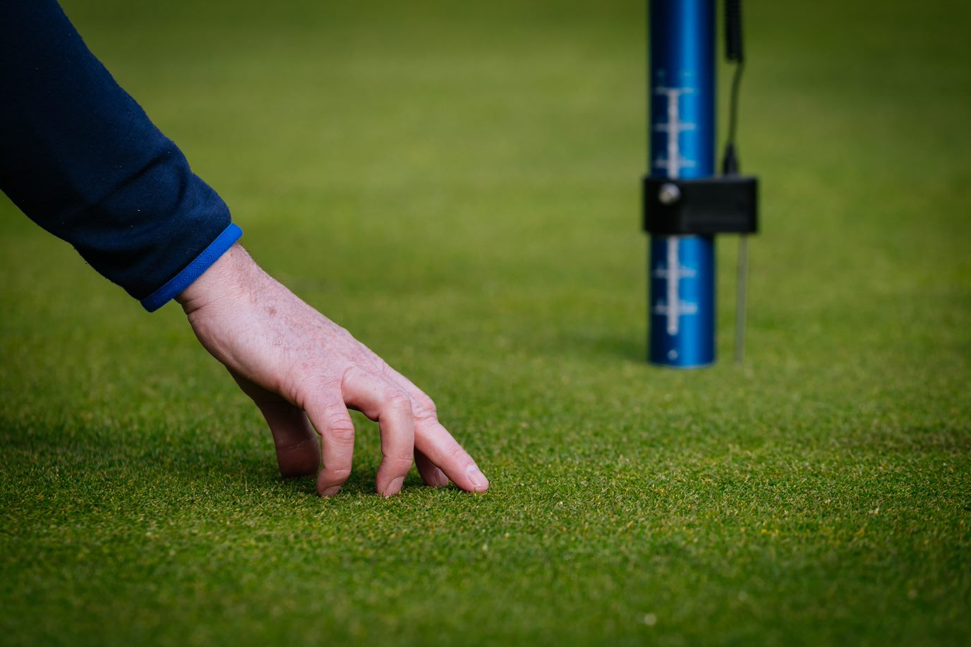 ECONOMIC AND ENVIRONMENTAL SUSTAINABILITY IN THE GARDEN OF IRELAND