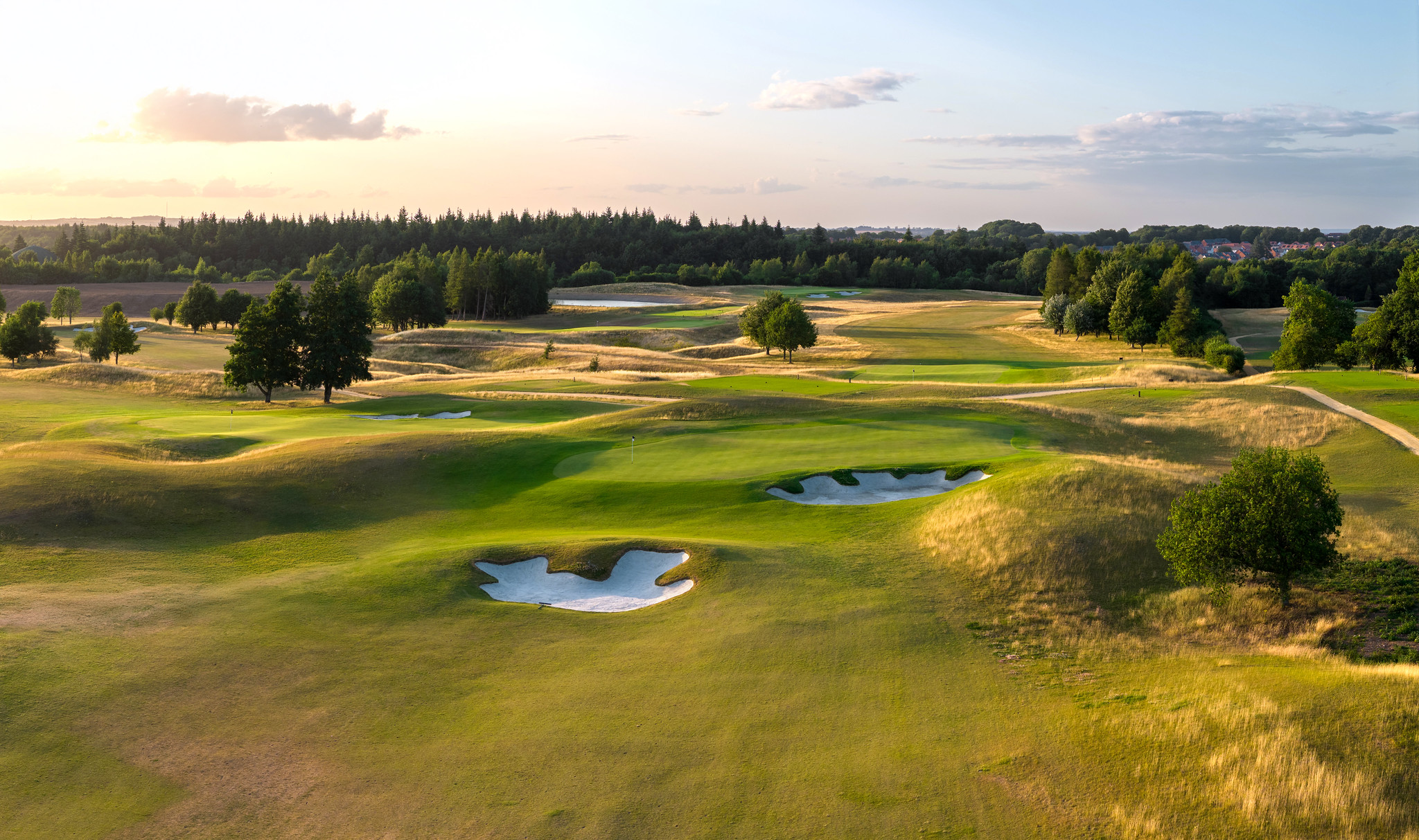 Turfgrass to improve Basingstoke Golf Club’s new course