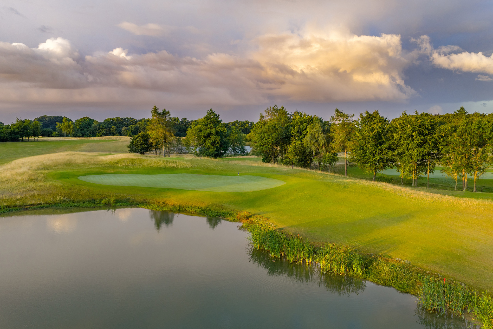 54758245896_d8ece25fa7_k