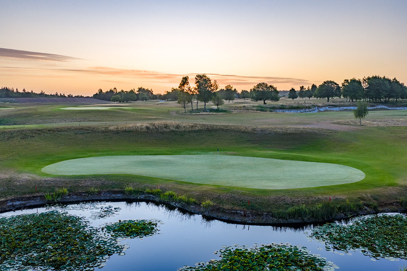 54758247386_da21d1ce09_c