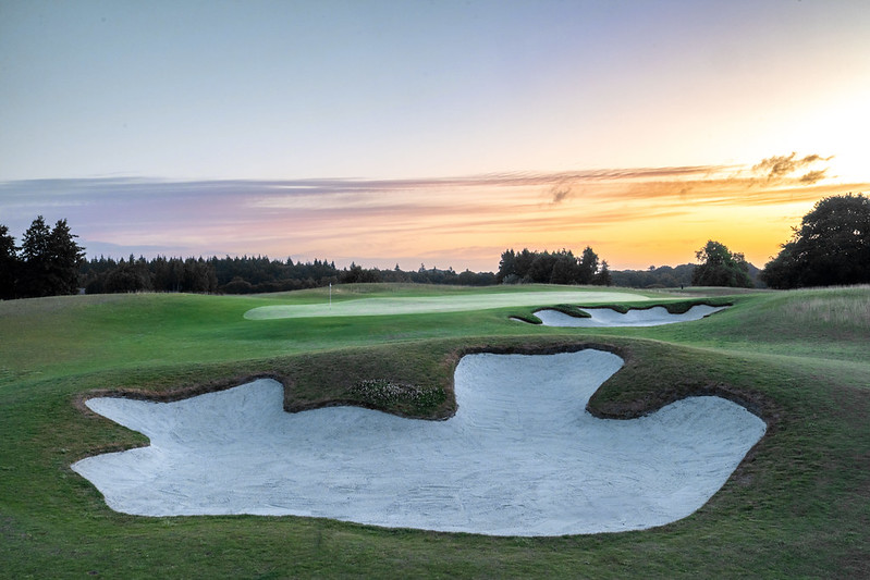 54758250321_4d7deac4b3_c