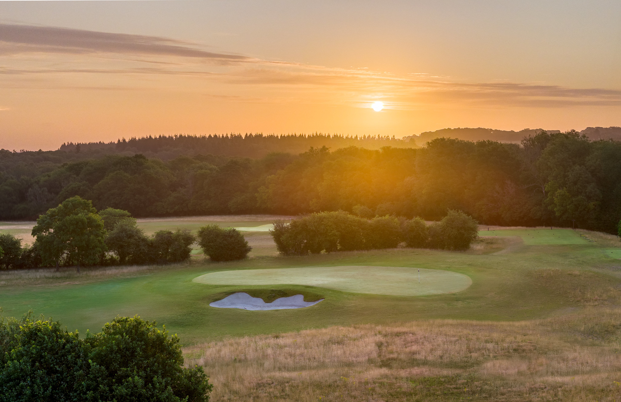 54758467908_9cb0da944f_k