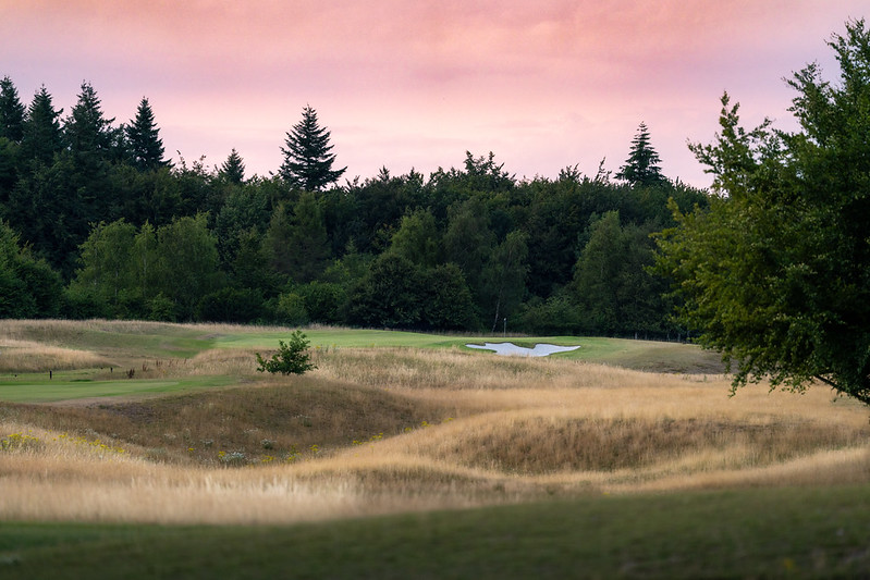 54758474373_21c22cb82c_c