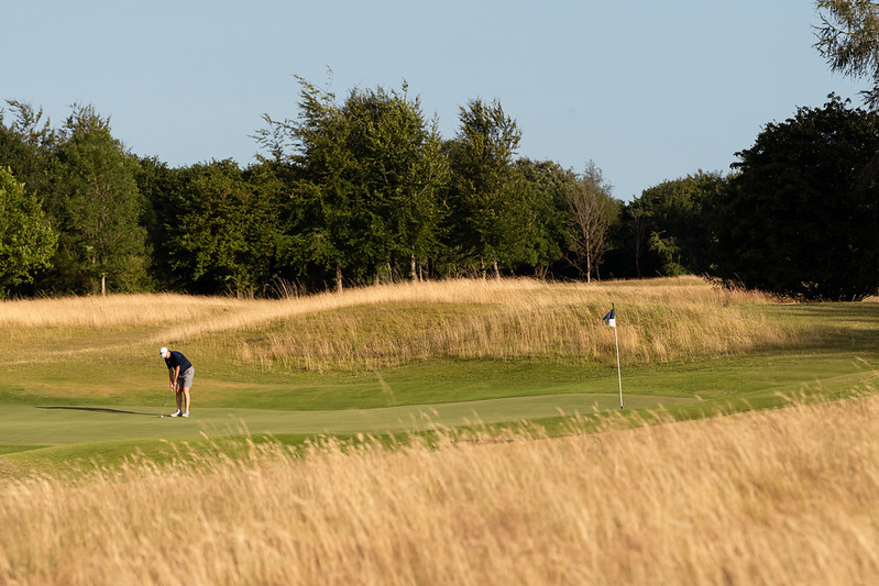 54758586545_2db530cdc5_c