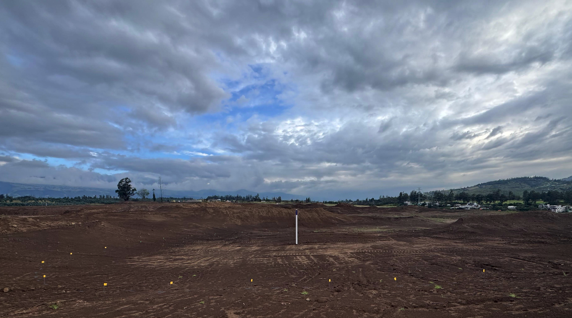 Screenshot 2026-01-20 at 18.29.16